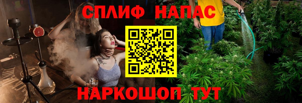 Марихуана ГИДРОПОН  Марихуана тримм  Черкесск  Вход с VPN  Бошки Шишки Amnesia 